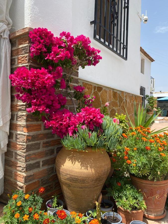 Oria Cortijo Perejil, A Tranquil Mountain Escape & Private Pool 아파트 외부 사진