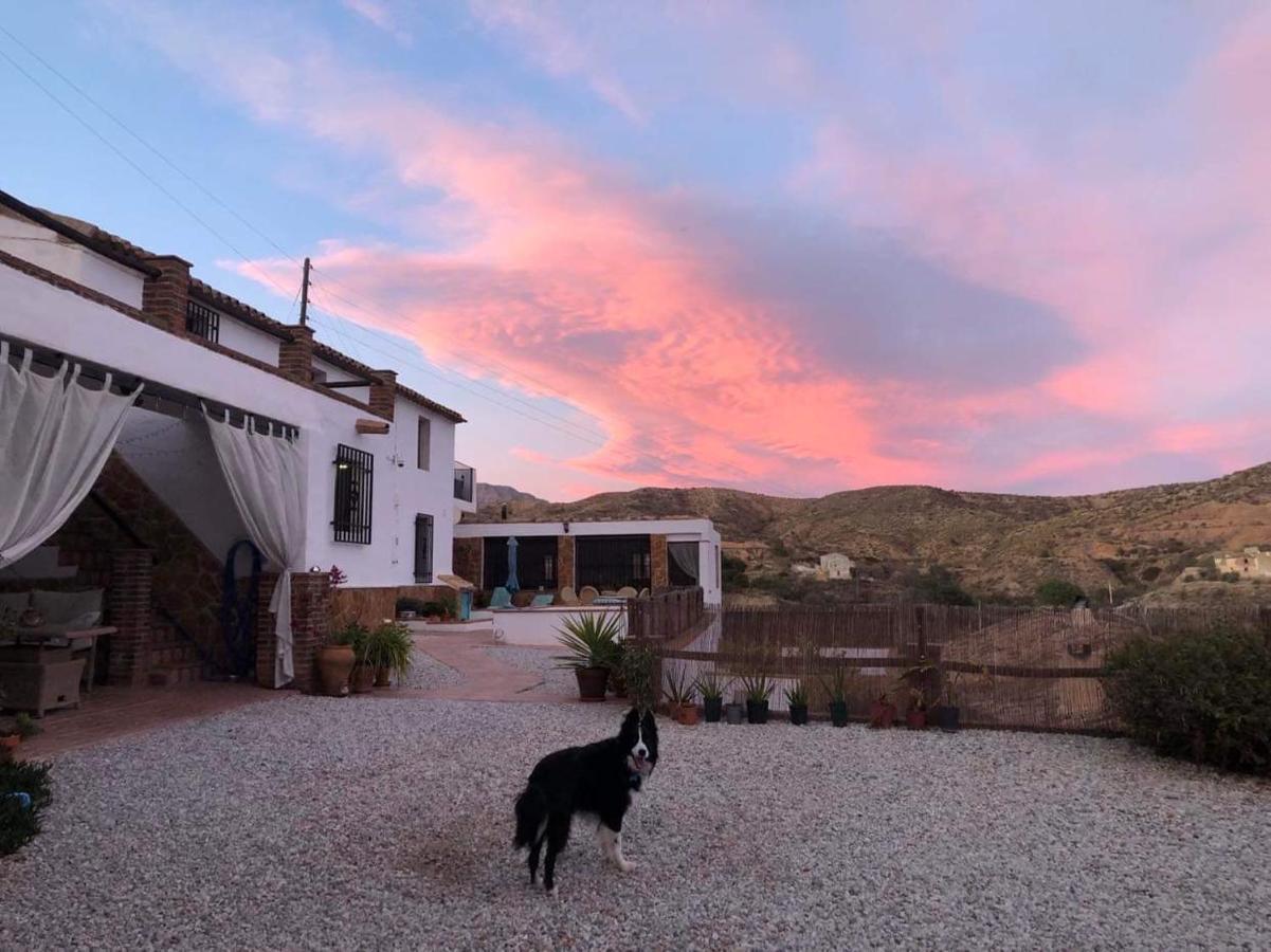 Oria Cortijo Perejil, A Tranquil Mountain Escape & Private Pool 아파트 외부 사진