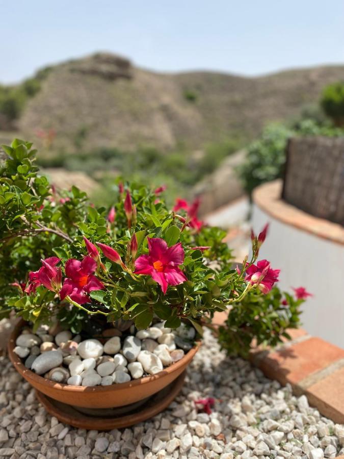 Oria Cortijo Perejil, A Tranquil Mountain Escape & Private Pool 아파트 외부 사진