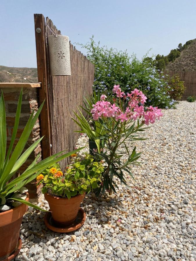 Oria Cortijo Perejil, A Tranquil Mountain Escape & Private Pool 아파트 외부 사진