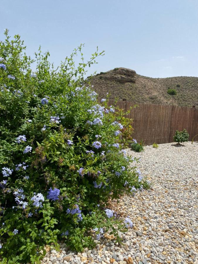 Oria Cortijo Perejil, A Tranquil Mountain Escape & Private Pool 아파트 외부 사진