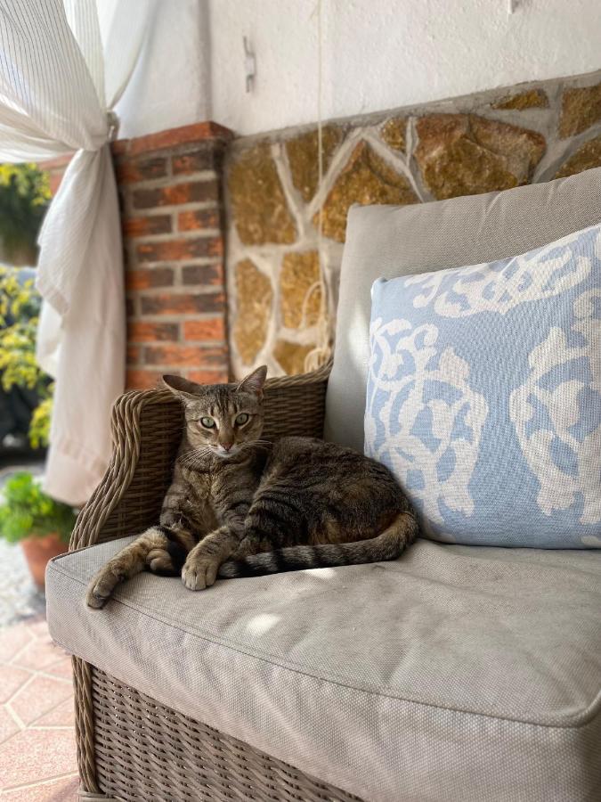 Oria Cortijo Perejil, A Tranquil Mountain Escape & Private Pool 아파트 외부 사진